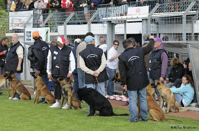 Remise des Prix 017.JPG - CHIENPLUS.COM